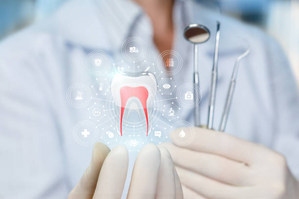 Best Root Canal Treatment  in Denmark, WI